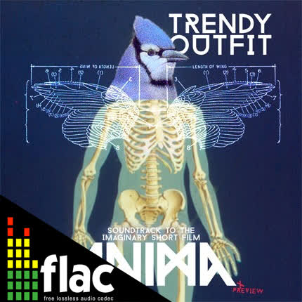 TRENDY OUTFIT - Anima (FLAC)