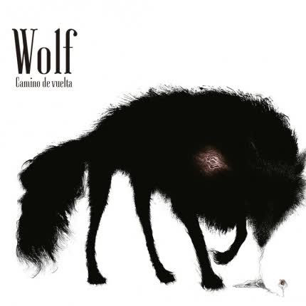FEDERICO WOLF - Camino de vuelta
