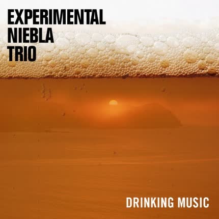 EXPERIMENTAL NIEBLA TRIO - Drinking Music