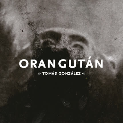 TOMAS GONZALEZ - Orangután