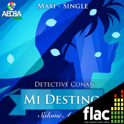 SALOME ANJARI - Mi Destino (Maxi-Single) (FLAC)