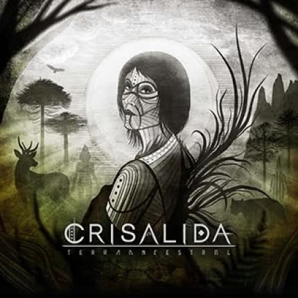 CRISALIDA - Violeta Gris
