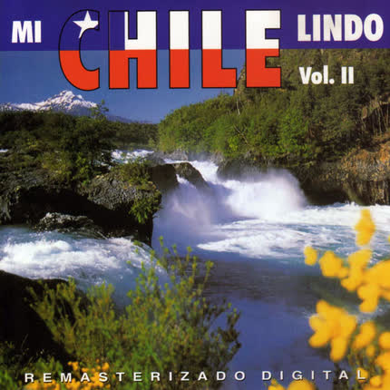 VARIOS ARTISTAS - Mi Chile Lindo Vol. 2