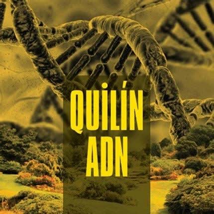 QUILIN ADN - Quilín ADN