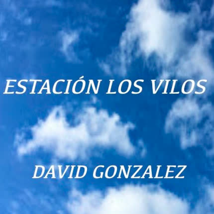 DAVID GONZALEZ DIAZ - Estación Los Vilos