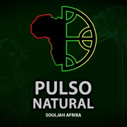 PULSO NATURAL - Souljah Afrika