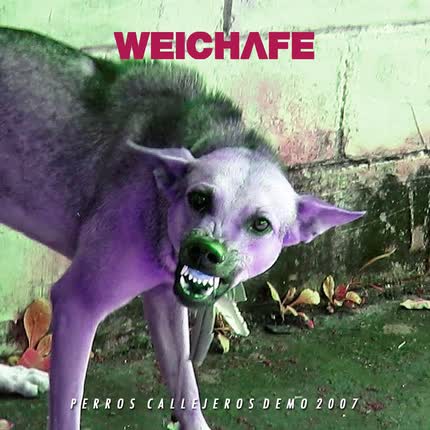 WEICHAFE - Perros Callejeros
