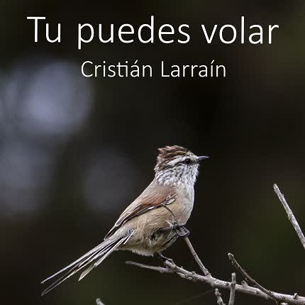 CRISTIAN LARRAIN - Tu Puedes Volar