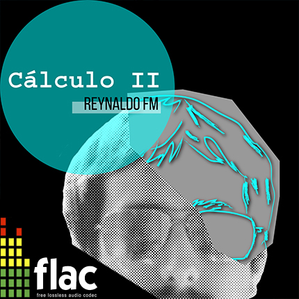 REYNALDO FM - Cálculo II (FLAC)
