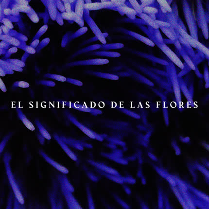 EL SIGNIFICADO DE LAS FLORES - El Significado de las Flores (Demo)