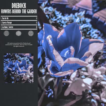 DREBOCK - Flowers Behind The Garden