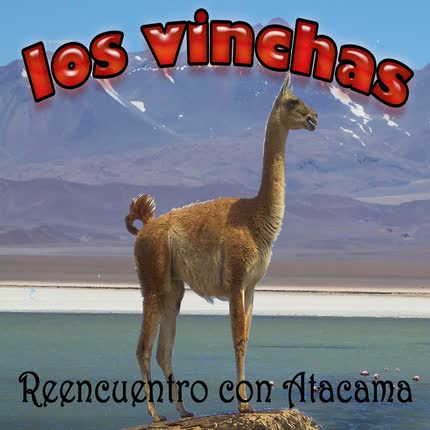 LOS VINCHAS - Reencuentro con Atacama