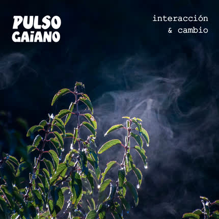 PULSO GAIANO - Interacción y Cambio