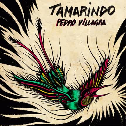 PEDRO VILLAGRA - Tamarindo