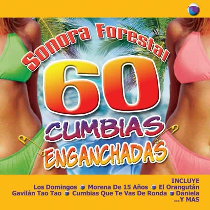SONORA FORESTAL - 60 Cumbias enganchadas volumen 1