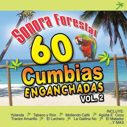 SONORA FORESTAL - 60 Cumbias enganchadas volumen 2