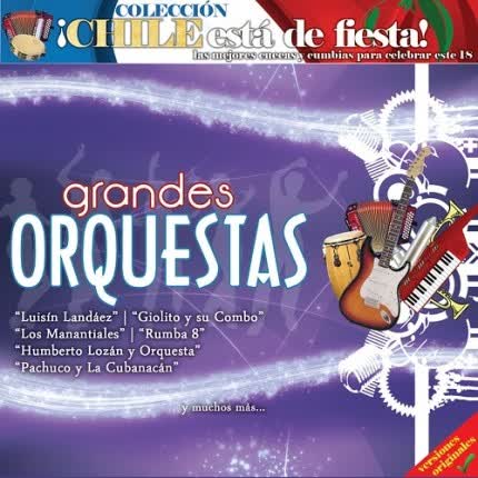 VARIOS ARTISTAS - Grandes Orquestas